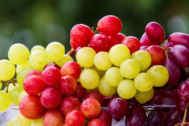 251-grapes-5889697_640.jpg