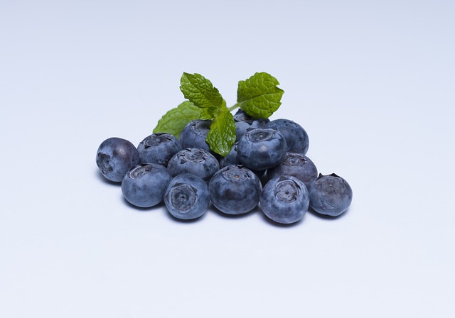 301-blueberry-873784_640.jpg